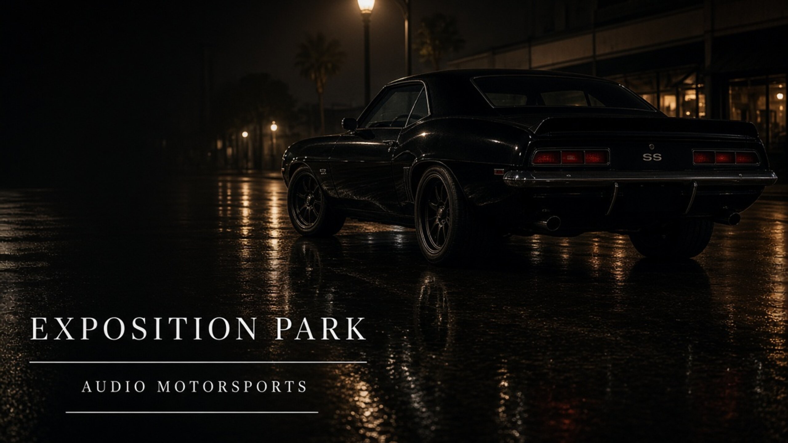 Exposition Park car stereo - Audio MotorSports