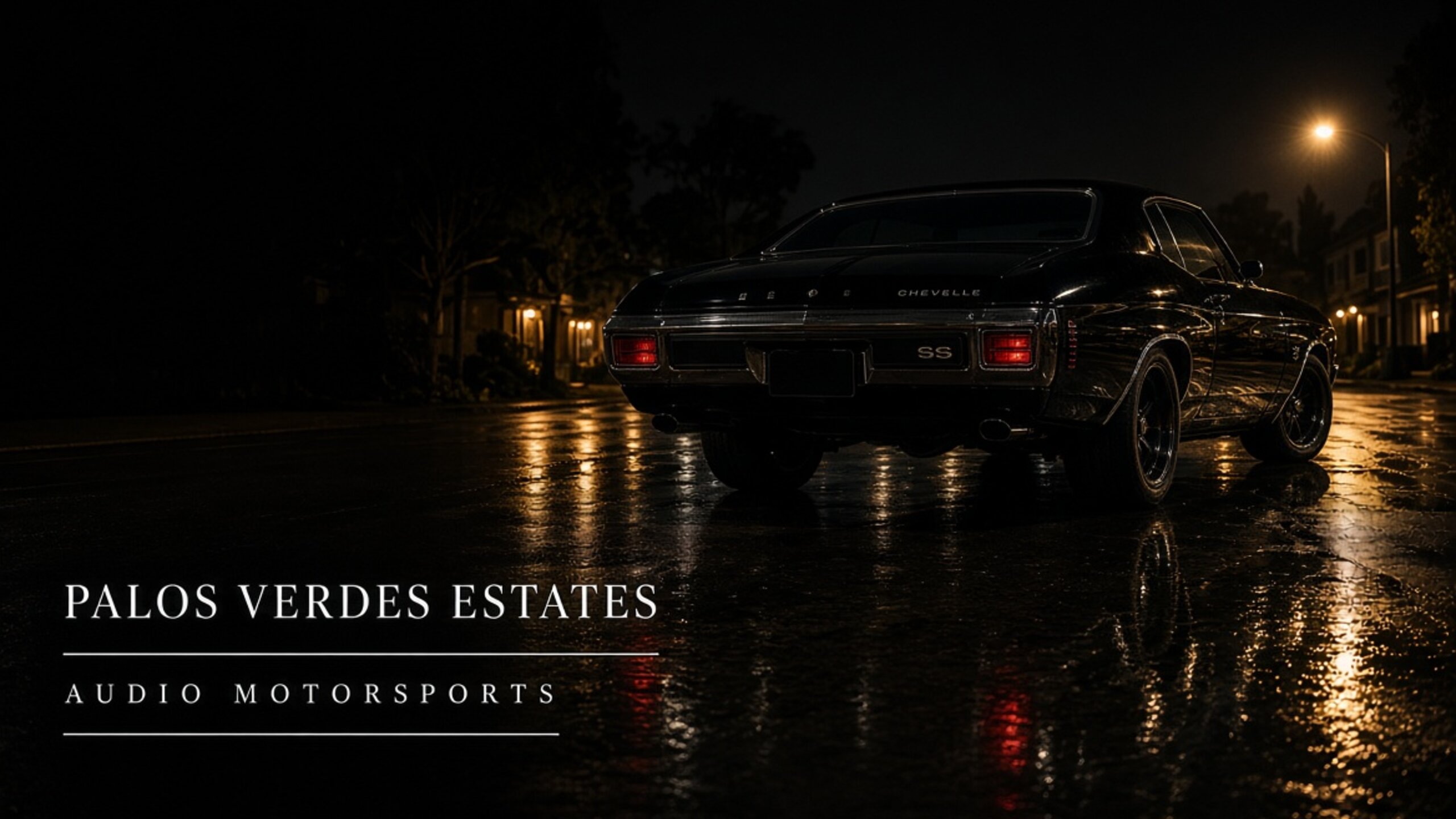 Palos Verdes Estates car stereo - Audio MotorSports