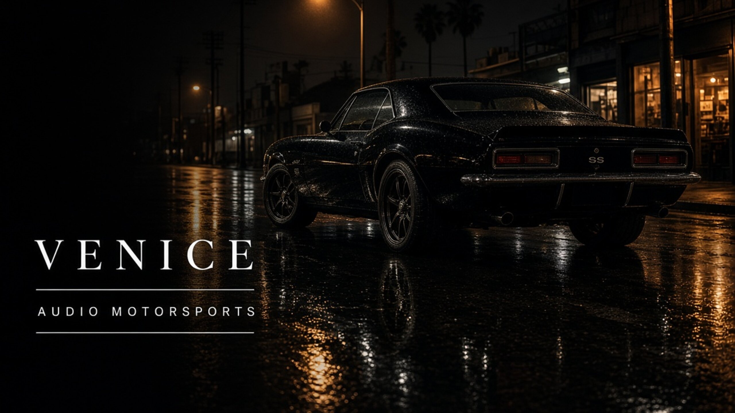 Venice car stereo - Audio MotorSports